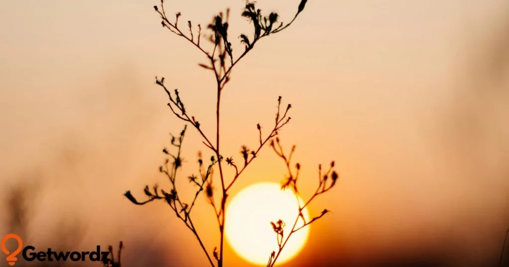 Early Light And Fading Light