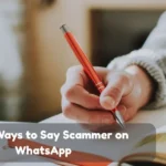 Funny Ways To Say Scammer On Whatsapp